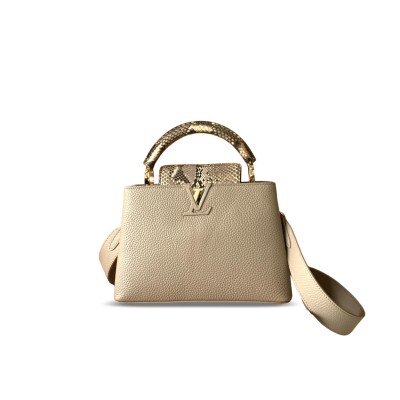 LOUIS VUITTON MASTER CAPUCINES BB N81258 (27*18*9cm)